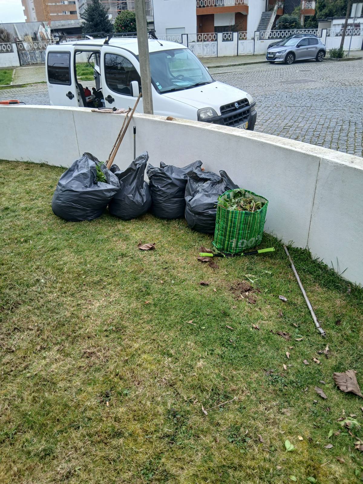 Manuel Pereira e Rui Silva - Porto - Enlèvement de souches d’arbres