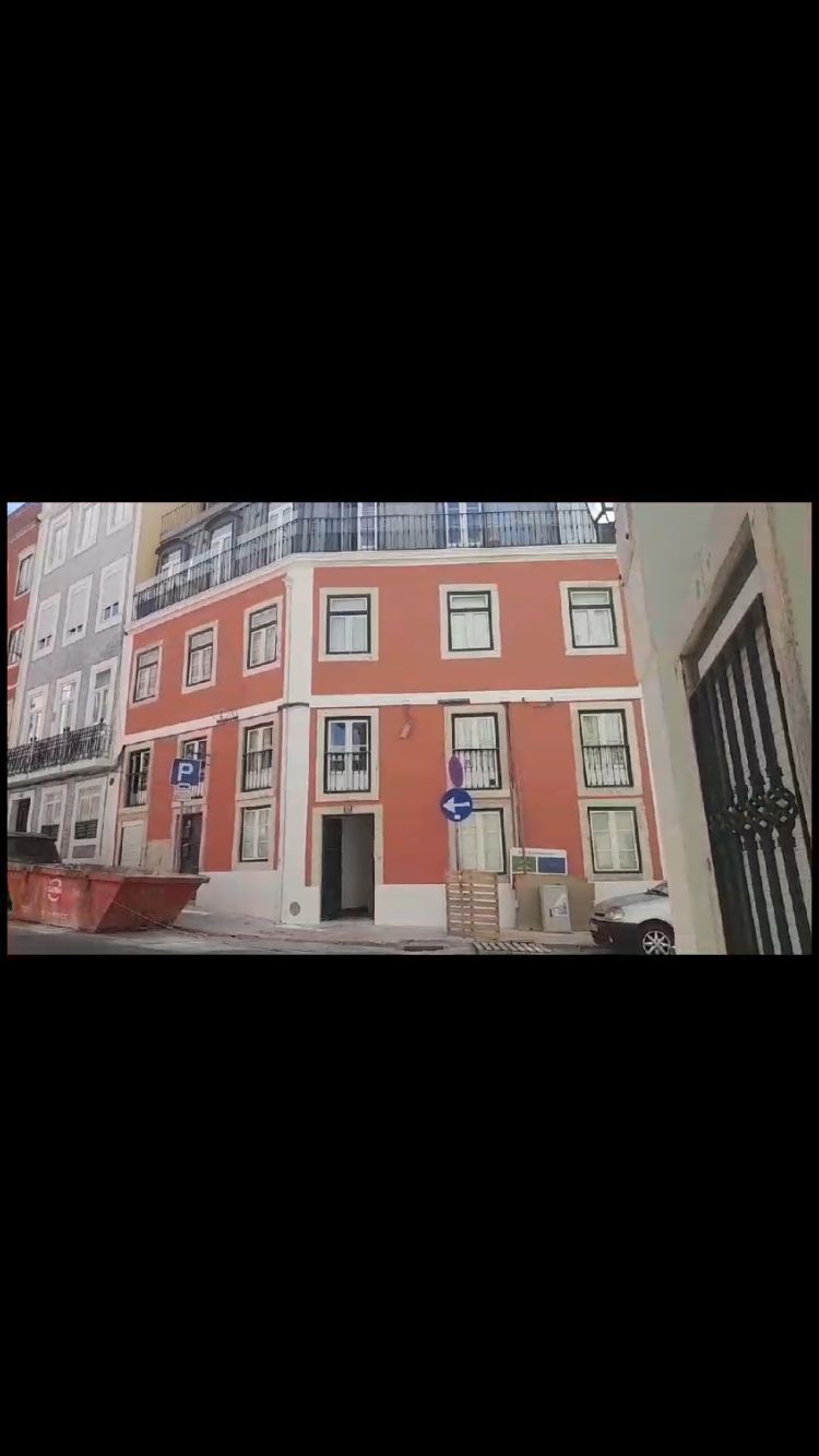 Elopes Engenharia, construção e remodelação - Lisboa - Poda e Manutenção de Árvores