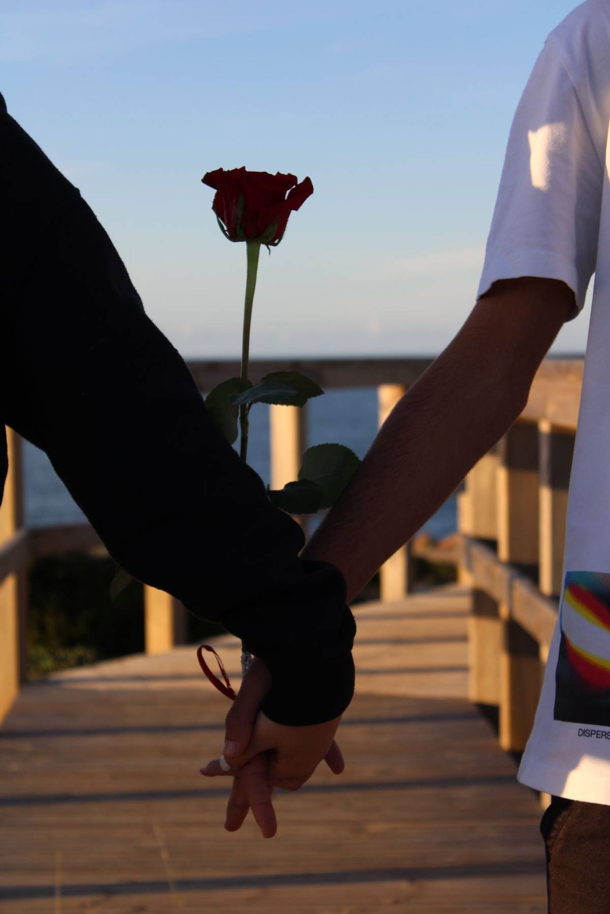 Two souls, one lens - Sines - Tauffotografie
