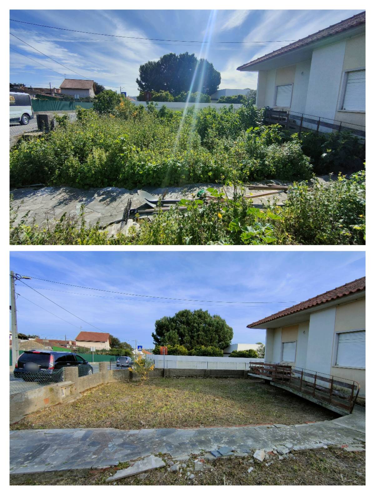 Jardineiro Multiservicos - Leiria - Deep or Spring Cleaning