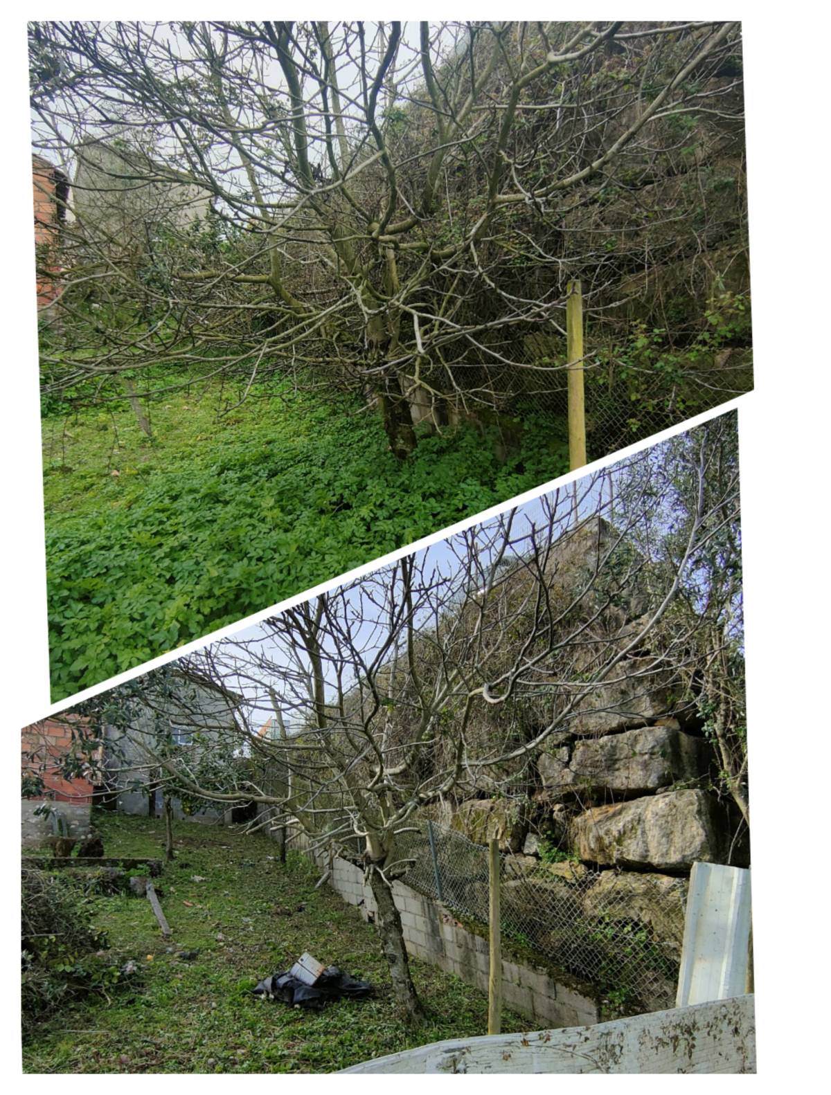 Jardineiro Multiservicos - Leiria - Shrub Removal