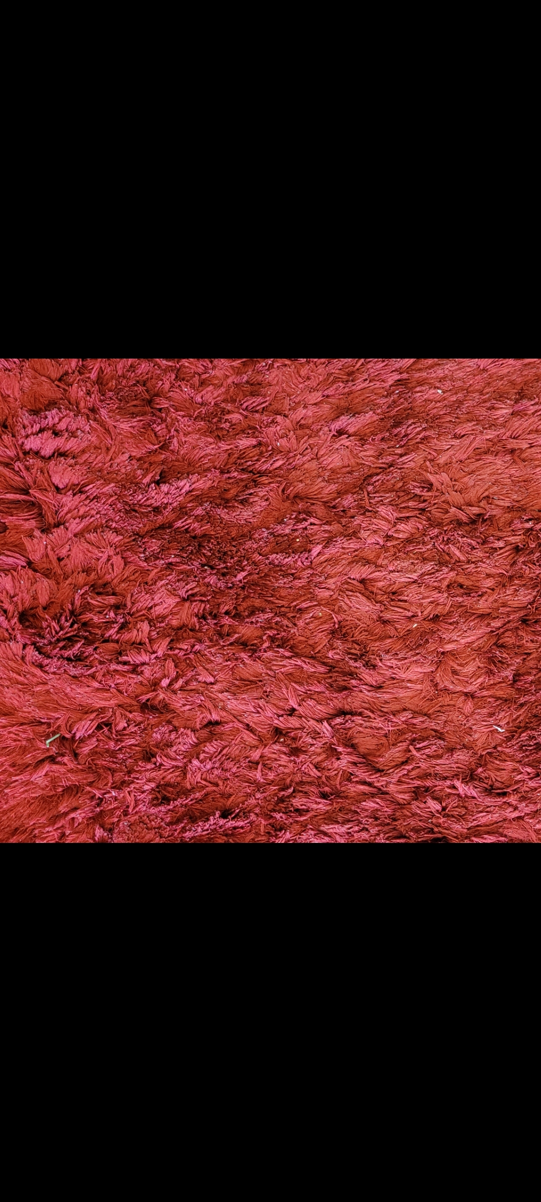 Limpeza da Casa (Recorrente) - Limpeza