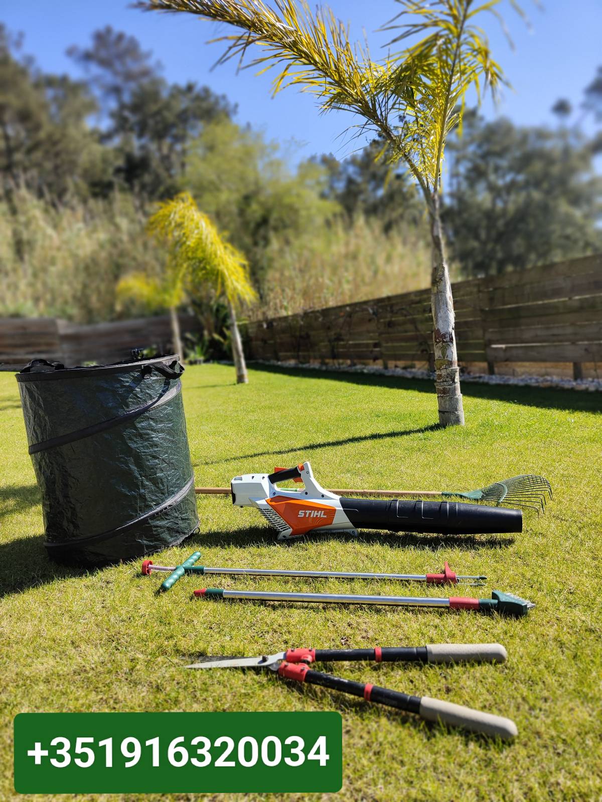 Jardineiro Multiservicos - Leiria - Remoção de Arbustos