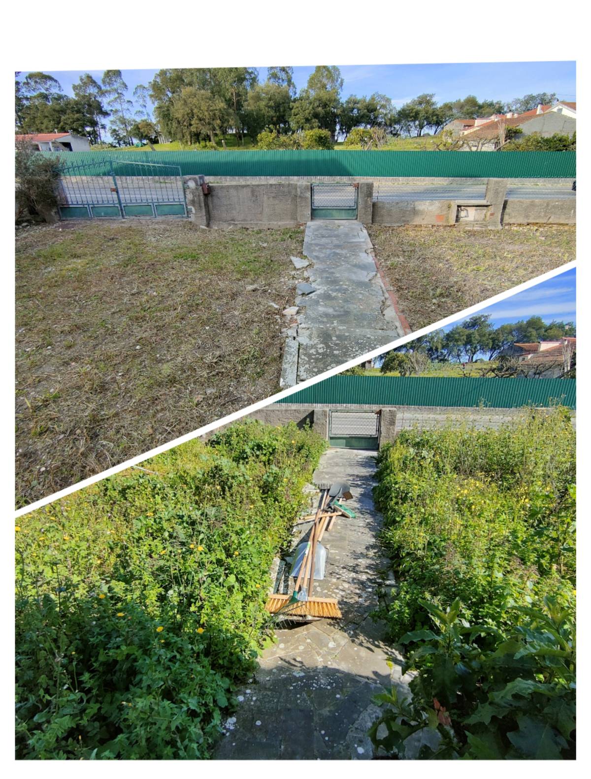 Jardineiro Multiservicos - Leiria - Commonhold Property Management