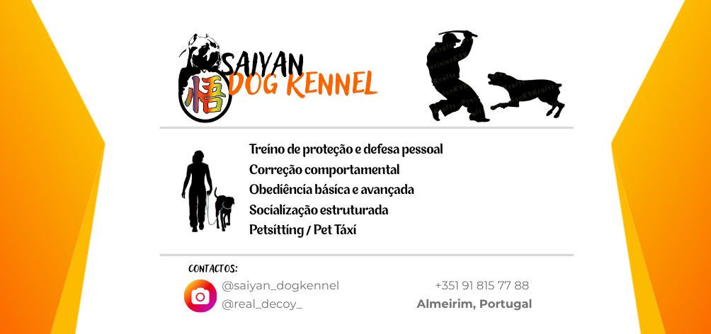 Inês Coelho - Santarém - Création de logos