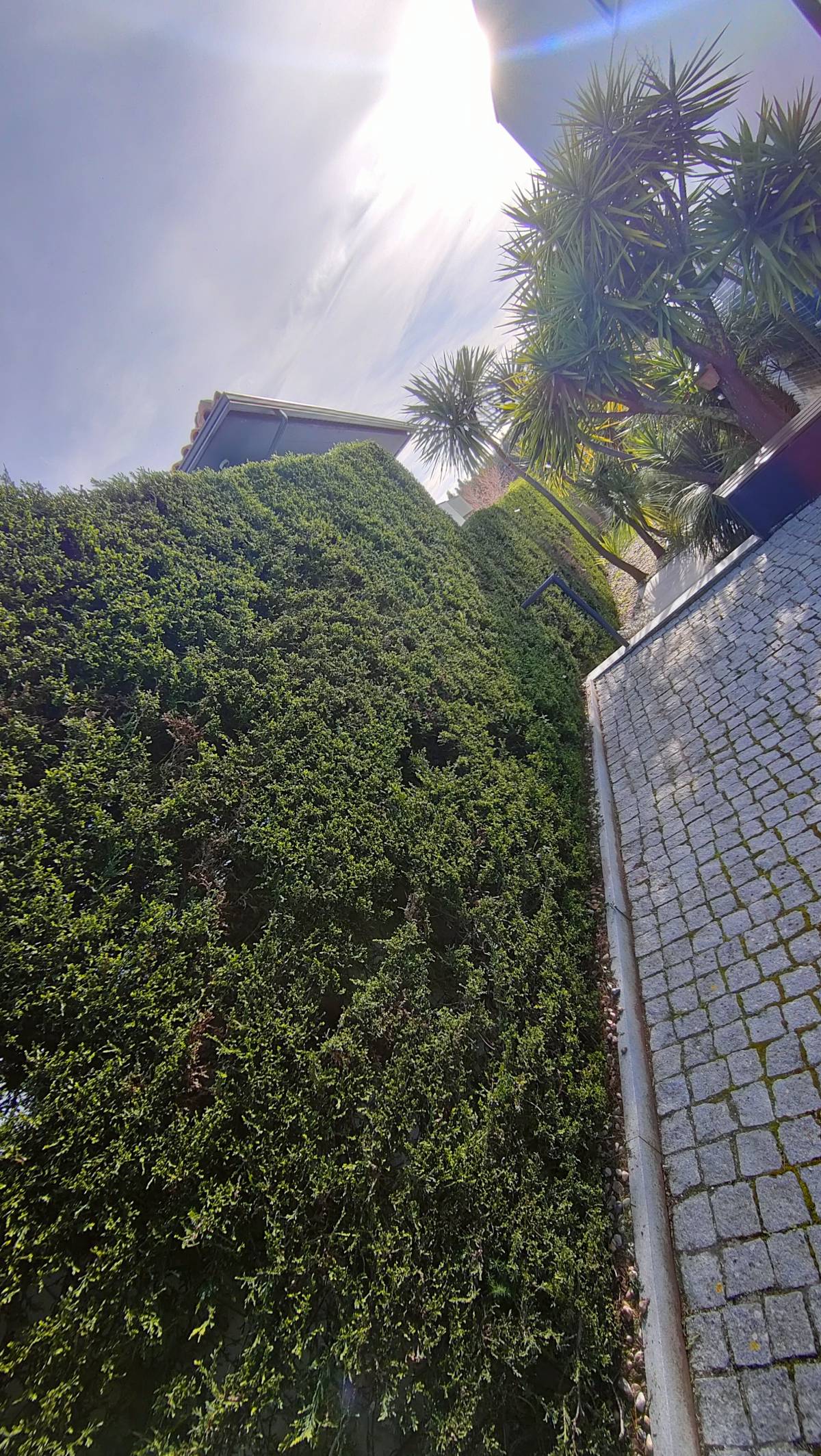 Jardineiro Multiservicos - Leiria - Exterior Painting