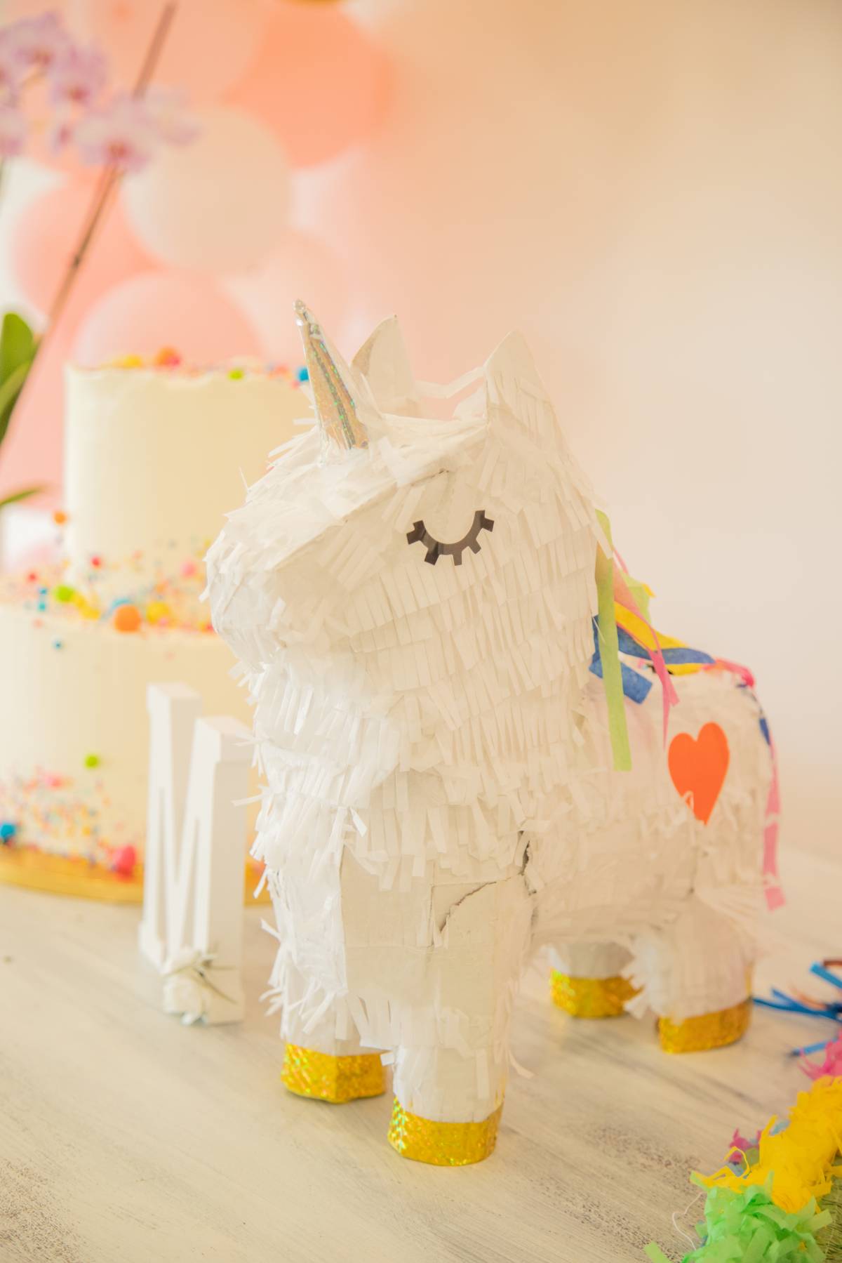 Christening Photographer - Events