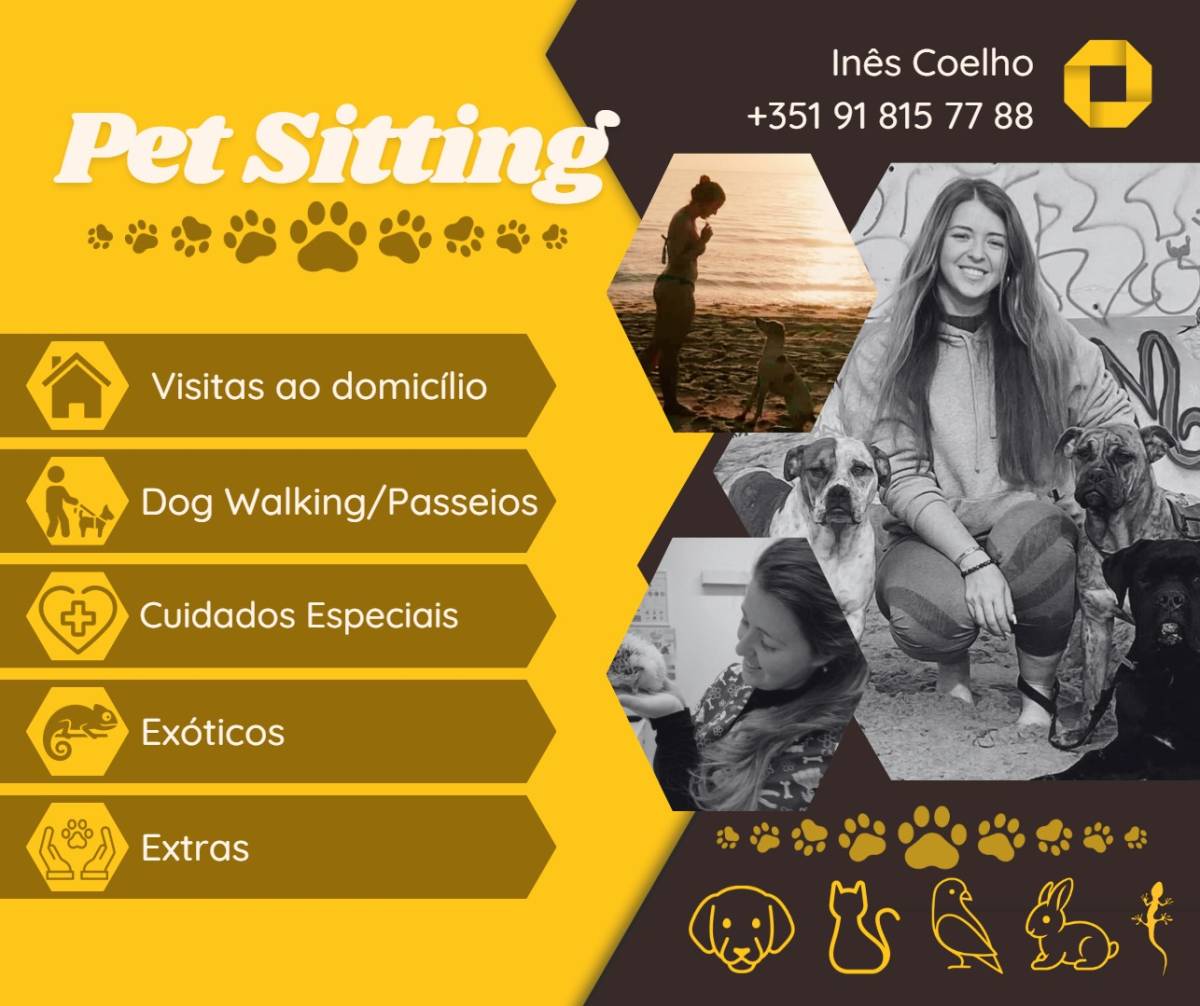 Inês Coelho - Santarém - Marketing