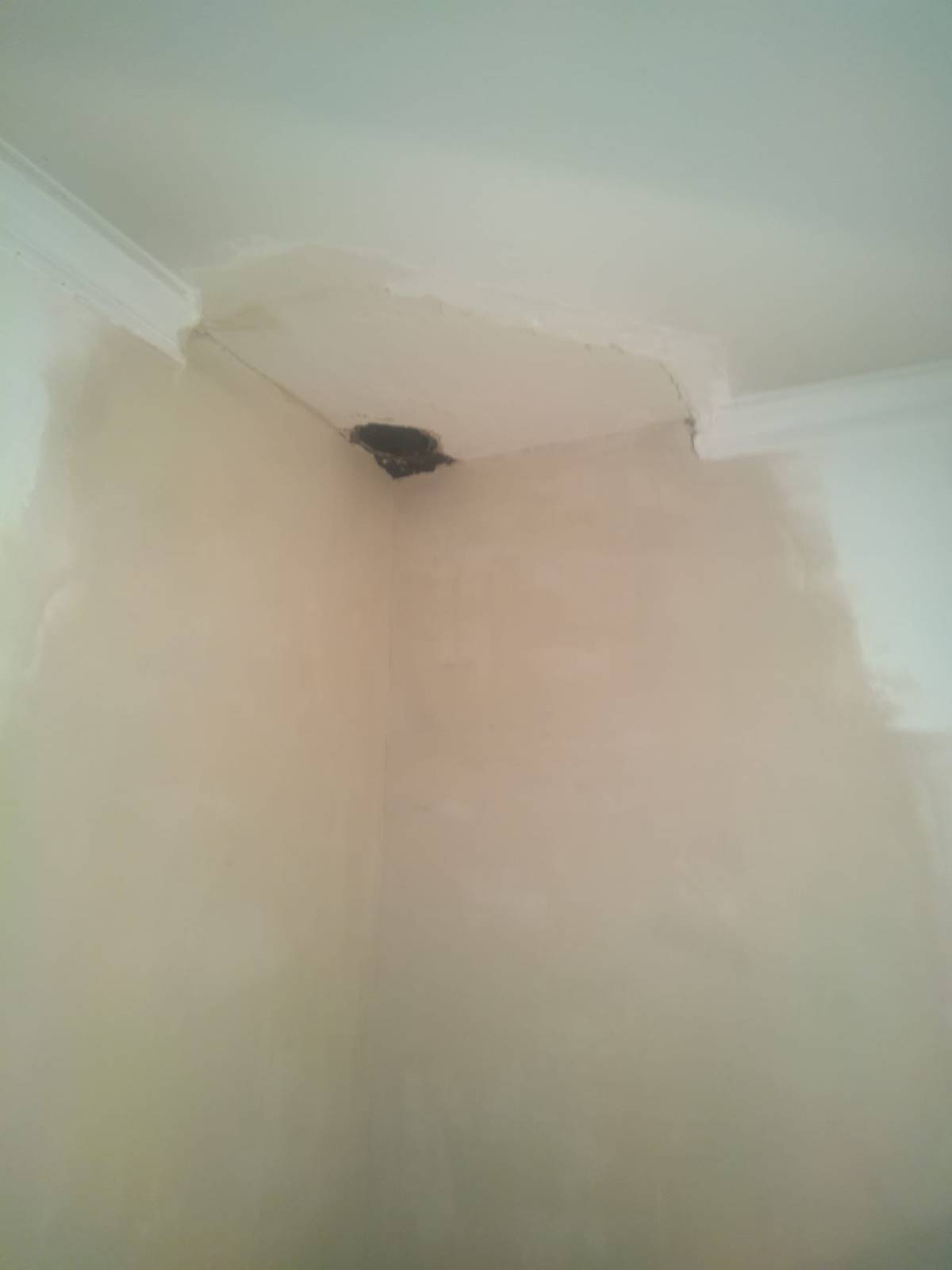 Ilson - Almada - Asbestos Removal