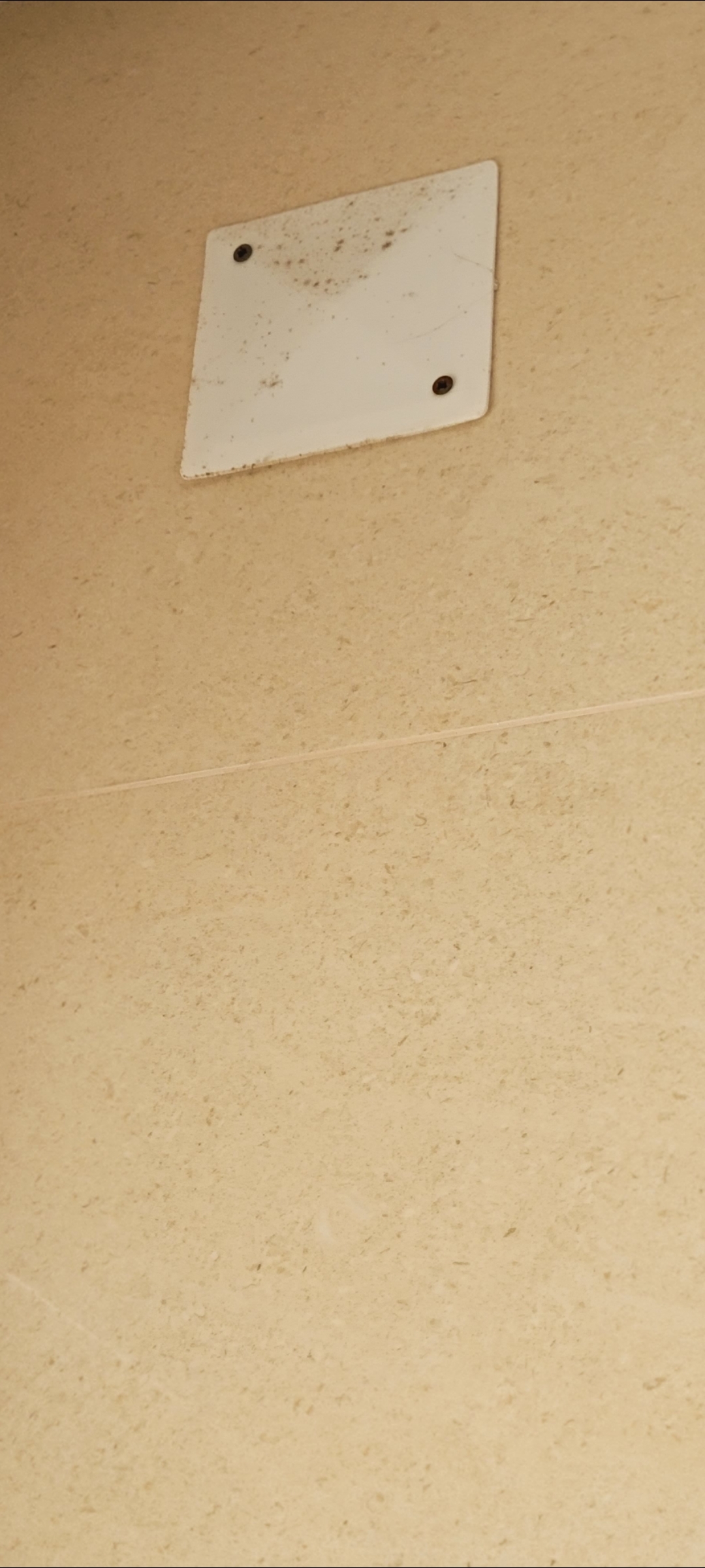 Limpeza da Casa (Recorrente)