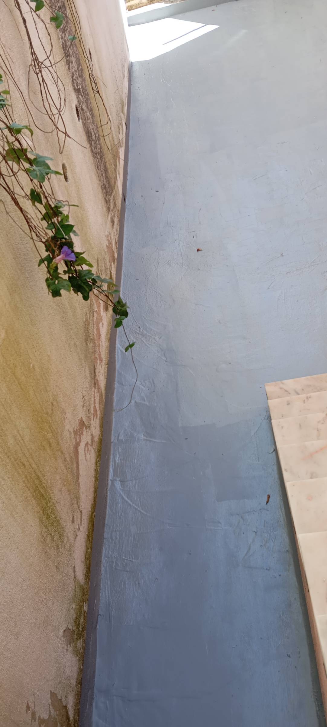 Frazão vertical - Oeiras - Pintura de Portas