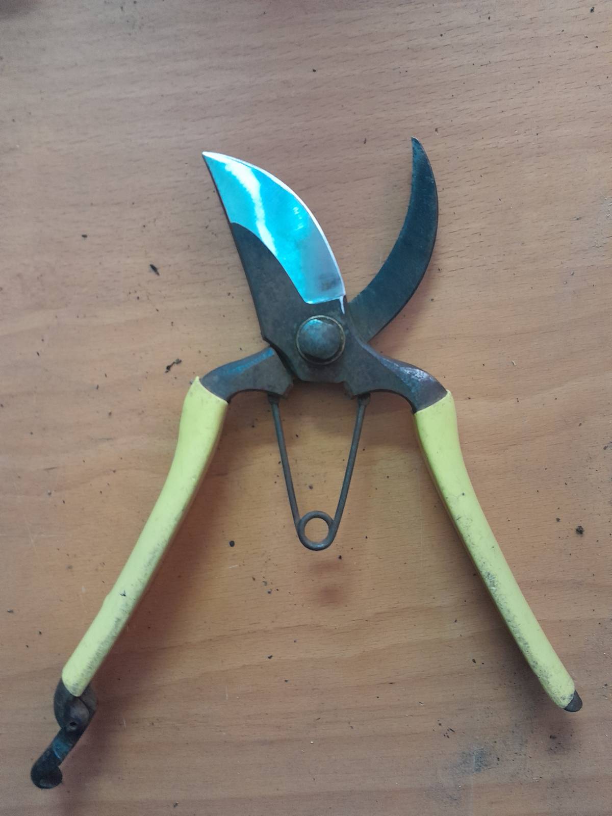 Josh The Knife Guy - Ílhavo - Domestic Work
