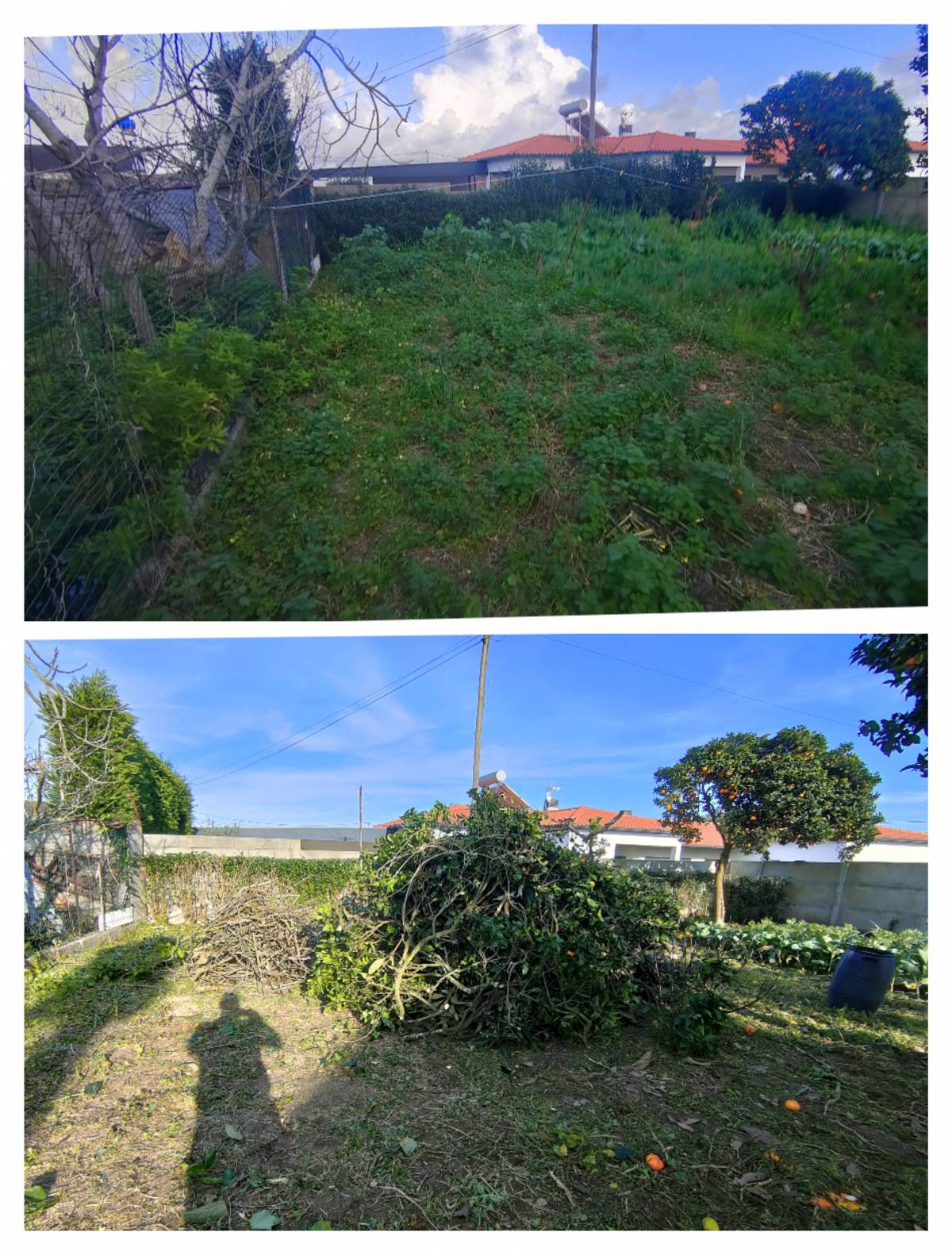 Jardineiro Multiservicos - Leiria - Roof Cleaning
