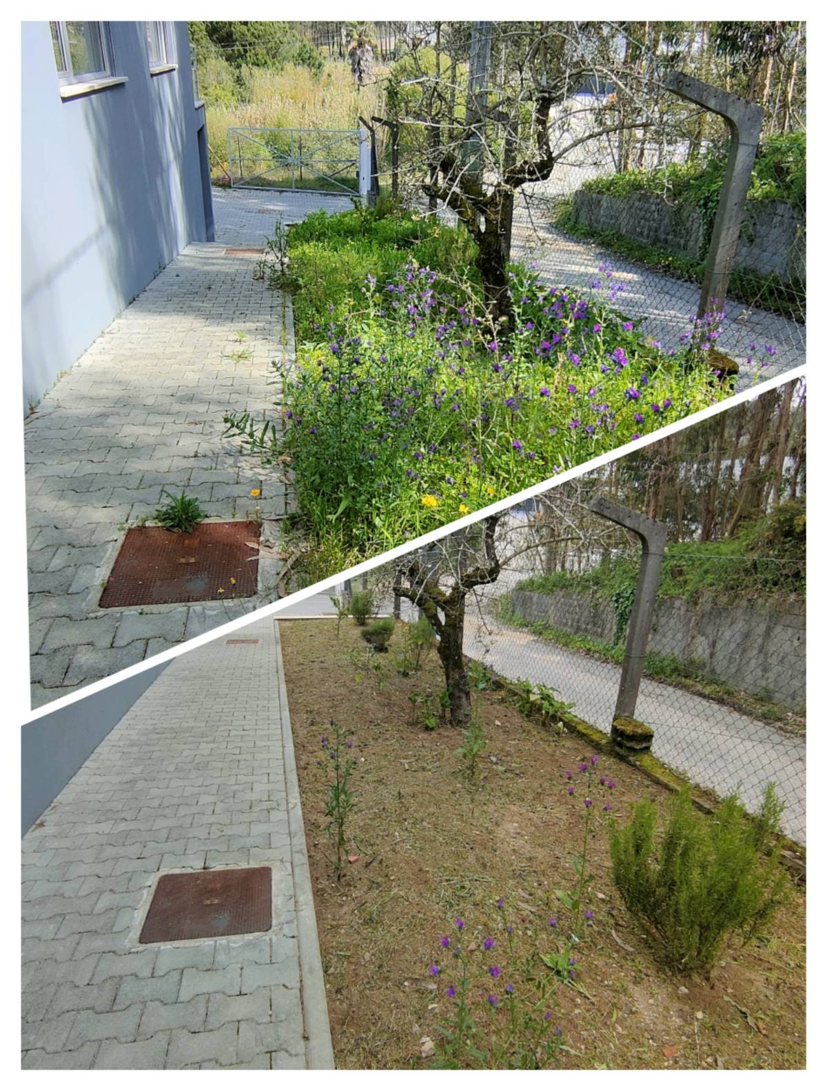 Jardineiro Multiservicos - Leiria - Painting