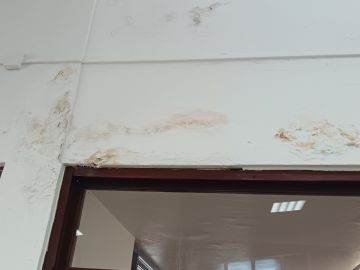 Especialista de Reparação de Telhados - Casa