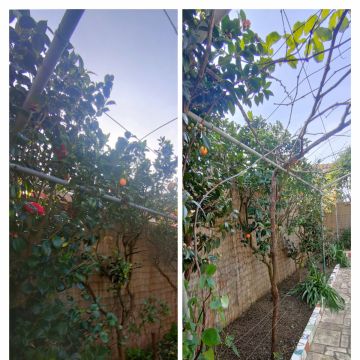 Jardineiro Multiservicos - Leiria - Cleaning Out