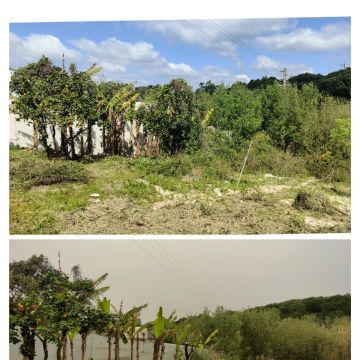 Jardineiro Multiservicos - Leiria - Multi Service Lawn Care
