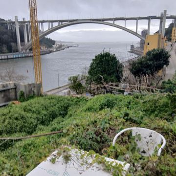 Manuel Pereira e Rui Silva - Porto - Jardinage