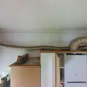 Anthony - Esposende - Chimney Cleaning