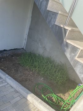Serviço de Jardinagem