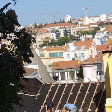 Elopes Engenharia, construção e remodelação - Lisboa - Remoção de Arbustos