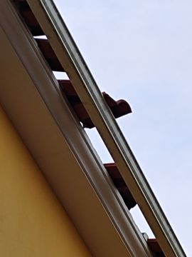 Reparação ou Manutenção de Telhado