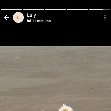 Eliete - Lisboa - Pet Sitting