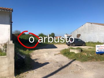Jardinagem e Relvados