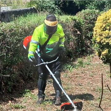 Manuel Pereira e Rui Silva - Porto - Plantation d’arbres