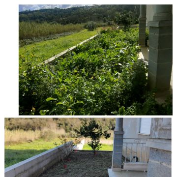 Jardineiro Multiservicos - Leiria - Limpa-neves (Residencial)