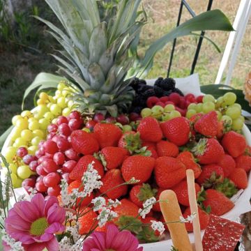 Tábuas &C ° - Águeda - Organização de Festa de Chá Revelação