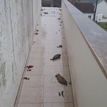 Alvenaria