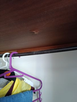 Carpentry and Woodworking