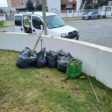 Manuel Pereira e Rui Silva - Porto - Enlèvement de souches d’arbres
