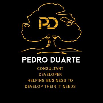 Pedro Duarte Consulting - Vila Nova de Gaia - Desarrollo de software