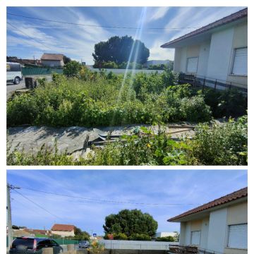 Jardineiro Multiservicos - Leiria - Deep or Spring Cleaning