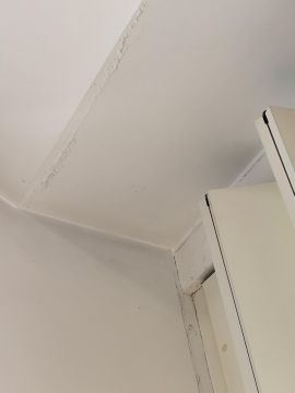 Reparação ou Manutenção de Telhado - Telhados e Coberturas