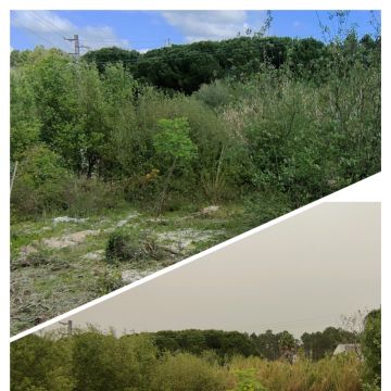 Jardineiro Multiservicos - Leiria - Cleaning Out