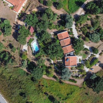 Solange Duarte | Portugal Relocation & Property Services - Montemor-o-Velho - Real Estate Services