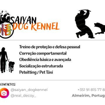 Inês Coelho - Santarém - Création de logos