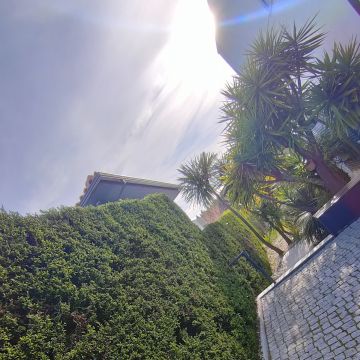 Jardineiro Multiservicos - Leiria - Exterior Painting