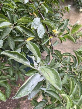 Jardinagem e Relvados