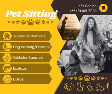 Inês Coelho - Santarém - Marketing