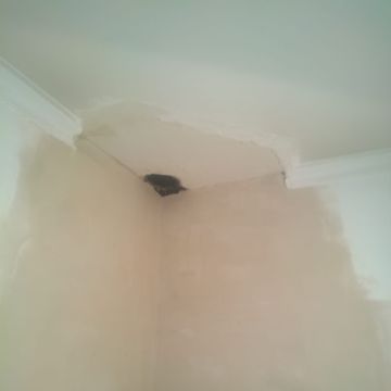 Ilson - Almada - Asbestos Removal