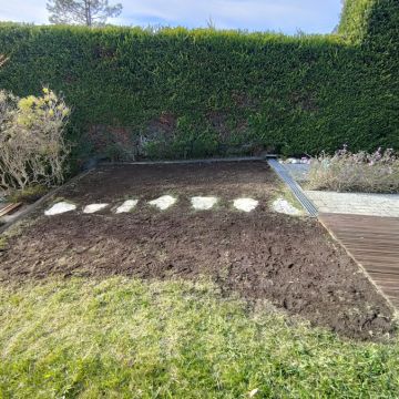 Jardineiro Multiservicos - Leiria - Tree Planting