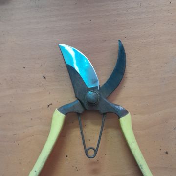 Josh The Knife Guy - Ílhavo - Domestic Work