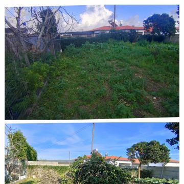 Jardineiro Multiservicos - Leiria - Roof Cleaning