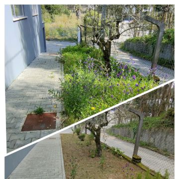 Jardineiro Multiservicos - Leiria - Painting