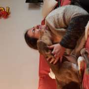 Maria Luíza de Carvalho - Lisboa - Creche para Cães
