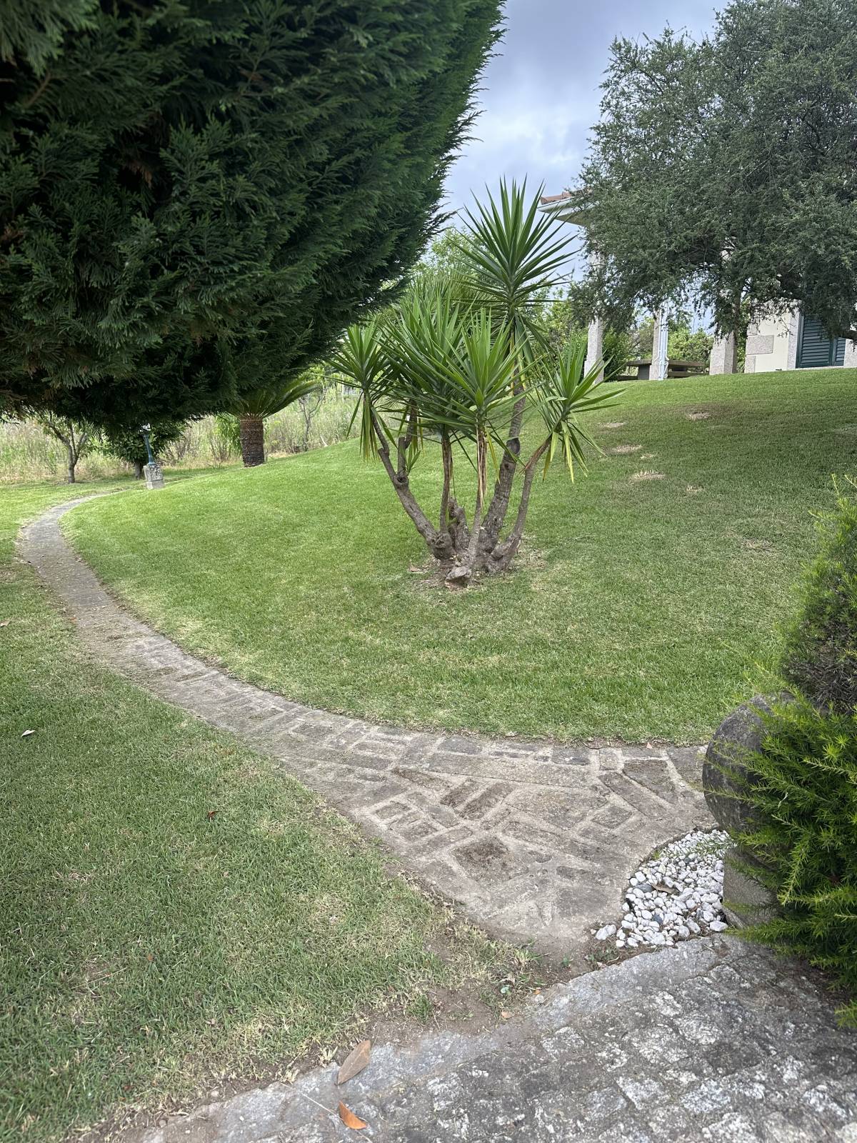 Carlosjardim - Braga - Lawncare